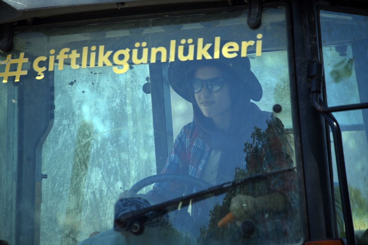 Afşar Köyünde Çiftçilik ve Aşk: Traktörlerle Başlayan Yeni Bir Yaşam