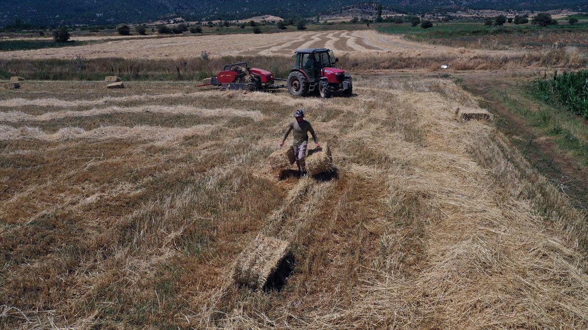 Afşar Köyünde Çiftçilik ve Aşk: Traktörlerle Başlayan Yeni Bir Yaşam
