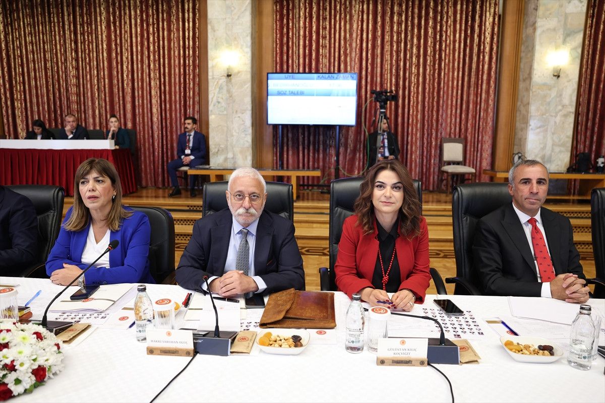 Barış ve Diyalog İçin Kurumsal Girişim: Milli Dayanışma Komisyonu Gündeminde Demokratik Çözüm
