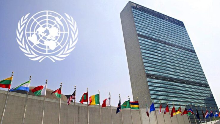 BM İçinde Gözlemci Statüsüne Yönelik Değişiklik Tartışması ve Uluslararası Tepkiler