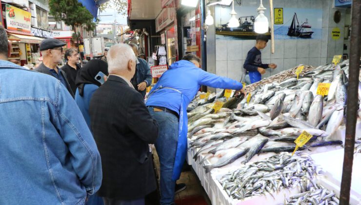 Denizden Tezgaha: Balık Sezonu Açıldı ve Fiyatlar Güncel