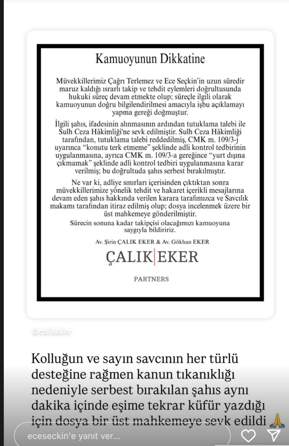 Ece Seçkin ve Eşi Hakkında Taciz Olayıyla İlgili Gözaltı ve Adli Kontrol Süreci