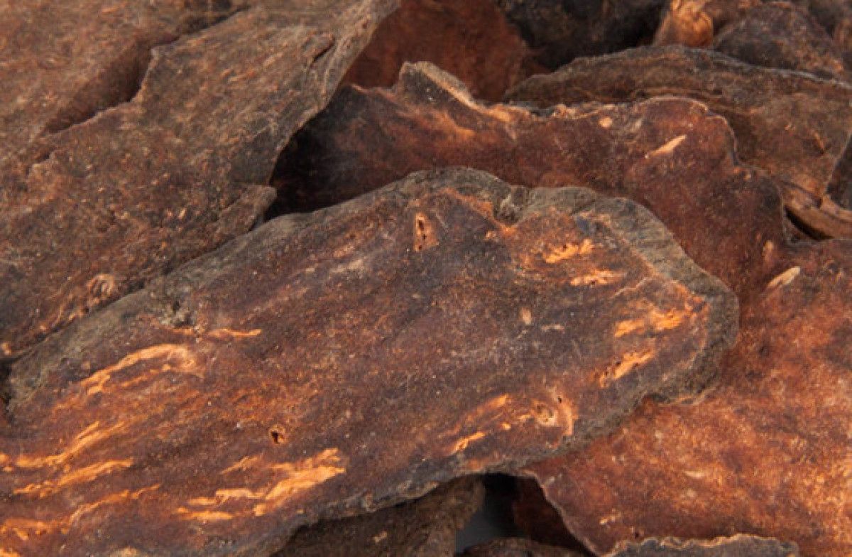 Fo-Ti (Polygonum multiflorum): Geleneksel Kullanım ve Bilimsel Değerlendirme