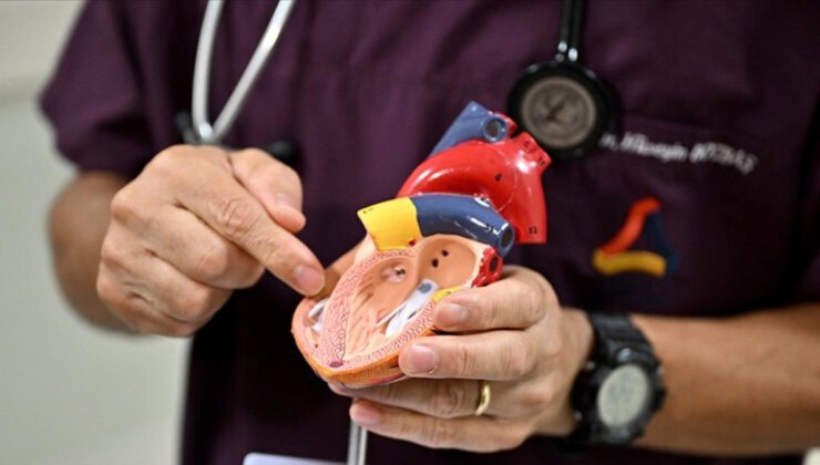 Kalp Kasının Zayıflaması: Nedenler ve Önleme Yolları