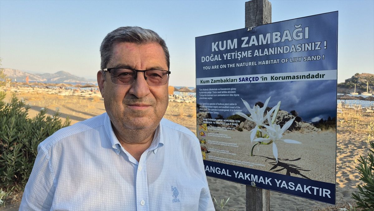 Kum Zambakları Sahile Işık Tutarak Bağırıyor: Sarıgerme’de Doğal Cennet Gün Konuşuyor