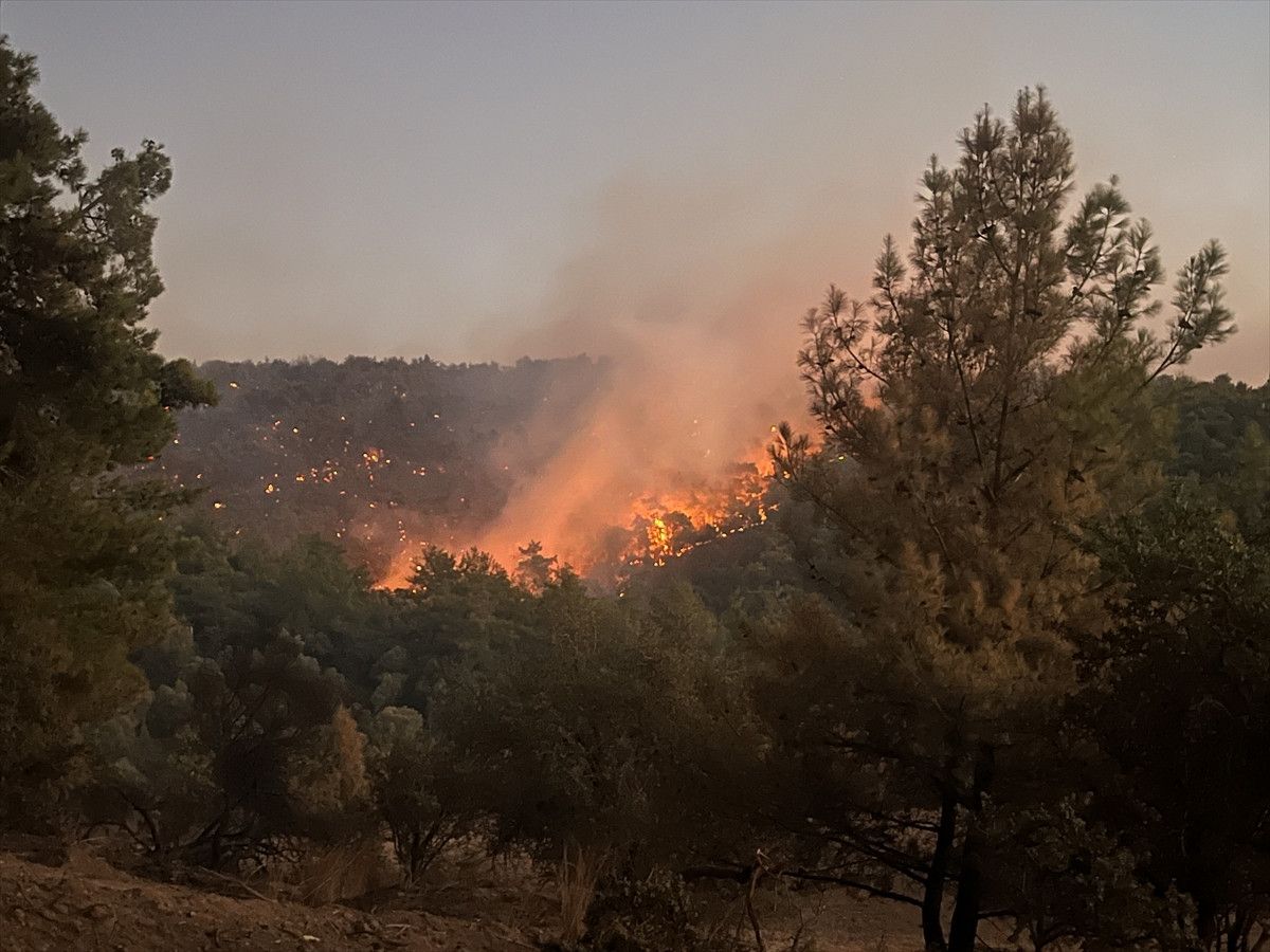 Muğla ve Antalya'da Orman Yangınlarına Hızla Müdahale: 218 Ev Boşaltıldı, 582 Kişi Taşındı