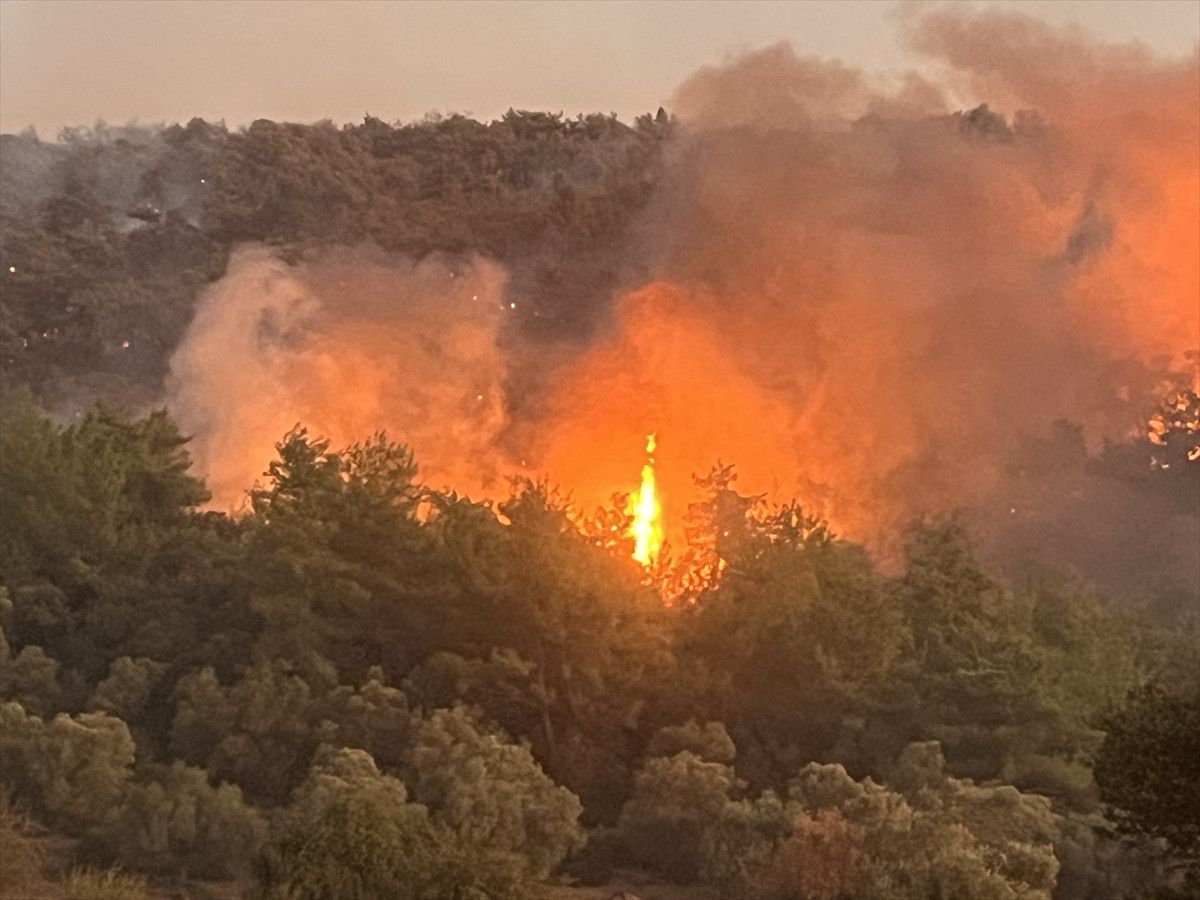 Muğla ve Antalya'da Orman Yangınlarına Hızla Müdahale: 218 Ev Boşaltıldı, 582 Kişi Taşındı