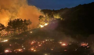 Muğla ve Antalya’da Orman Yangınlarına Hızla Müdahale: 218 Ev Boşaltıldı, 582 Kişi Taşındı