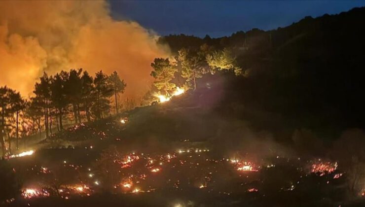 Muğla ve Antalya’da Orman Yangınlarına Hızla Müdahale: 218 Ev Boşaltıldı, 582 Kişi Taşındı
