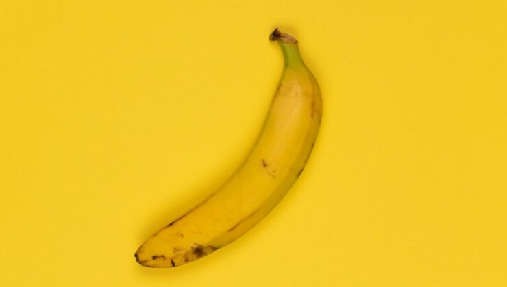 Nano Banana Çılgınlığı: Google Gemini 2.5 ile Hayali Karakterlerden Mini Dijital İkonlara Yolculuk