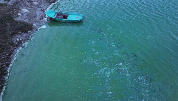 Terkos Barajı’ndaki Renk Değişimi ve Köpük Girişimi: Su Kaynağında Yaşananlar