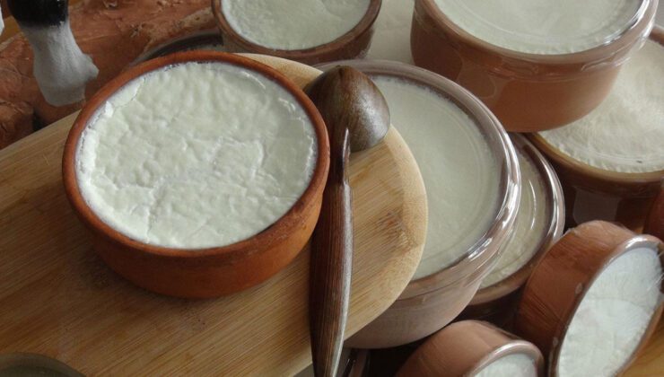 Yoğurdun Sağlıkta Bıraktığı 5 Güçlü İz ve Günlük Tüketim İçin Öneriler